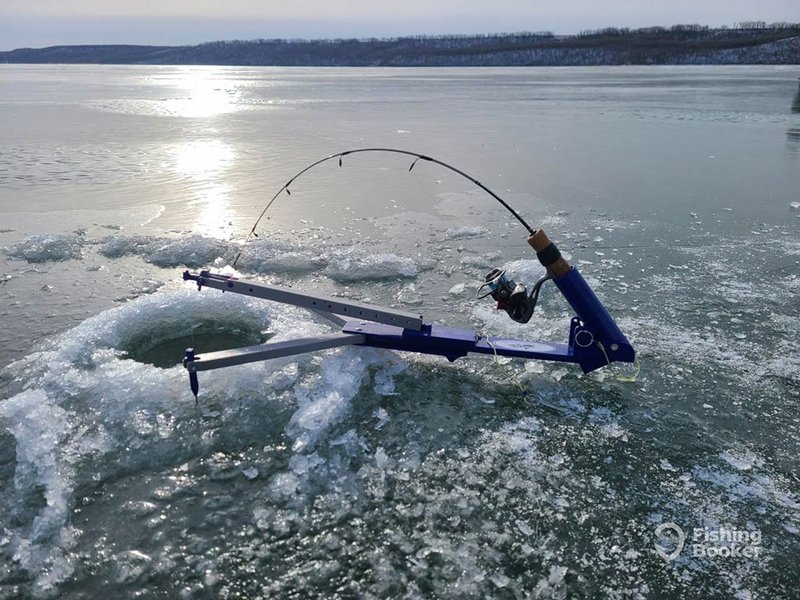 Canada's Harsh Winters Come Alive with Exciting Ice Fishing Games Online in Canada