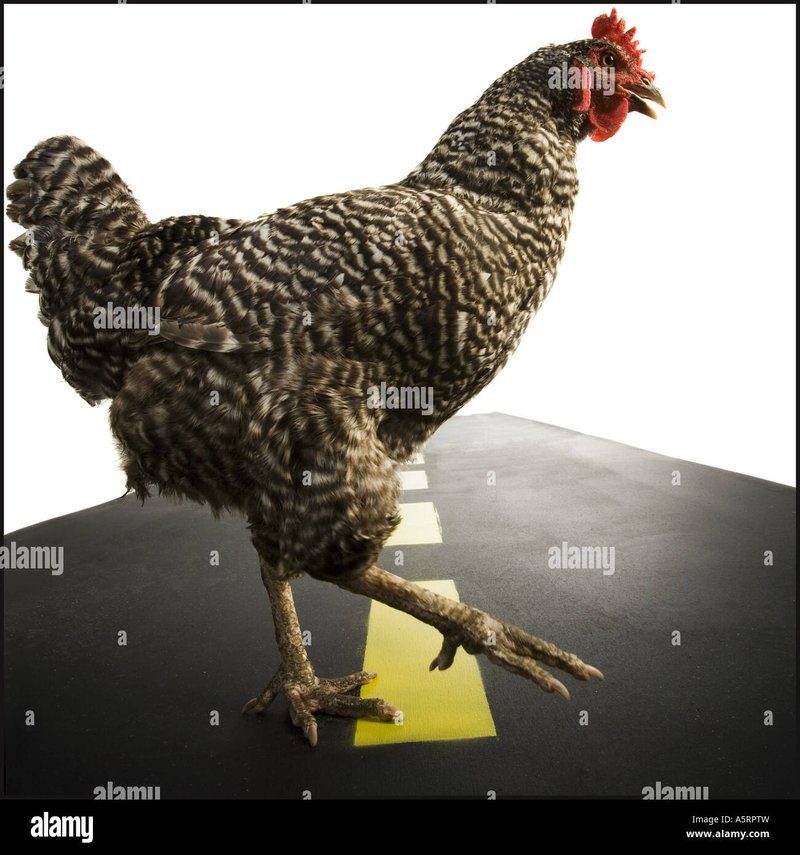 Chicken road demo - Descoperă Secretele Jocului de Noroc Chicken Road din România